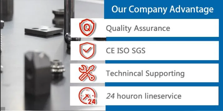 Ds-5y Energy Saving Y Axis Aotumatic CNC Lathe with NSK/NTN Bearing for Processing Part